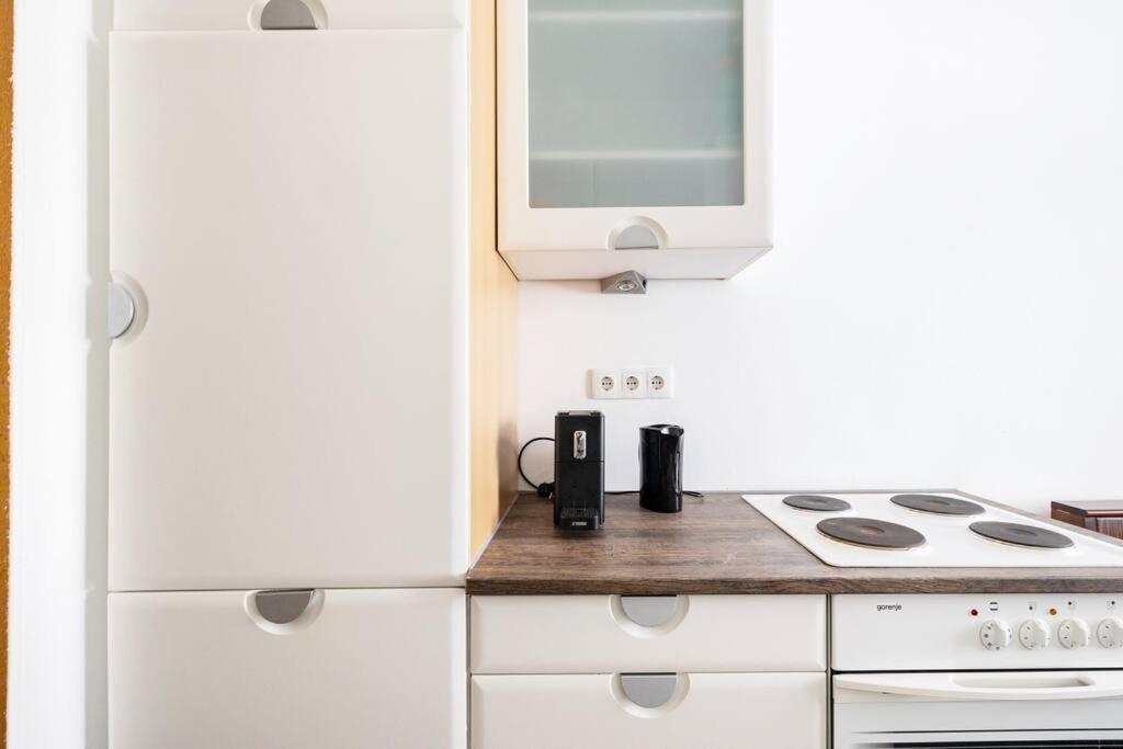Charming Spacious Apartment 비엔나 외부 사진